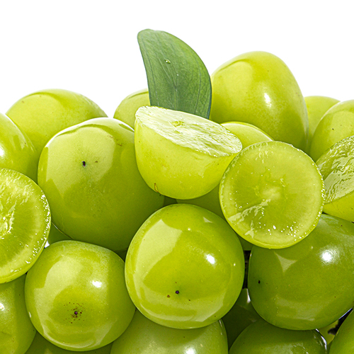 2026년 경북 샤인머스캣